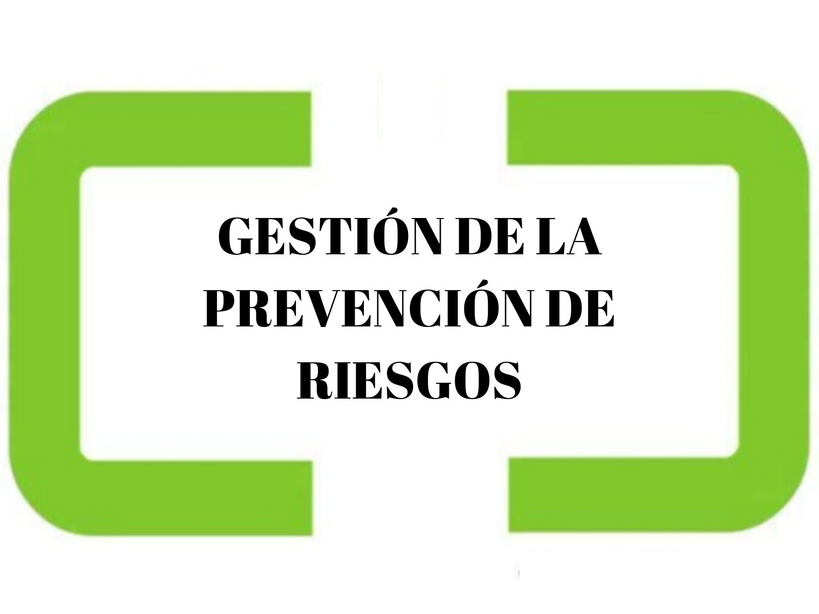 Gestion De La Prevencion De Riesgos